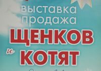 27-28 сентября, Ярославль - выставка-продажа щенков